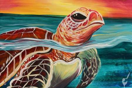 Turtle Exploring the Shore