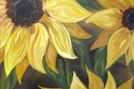 Beautiful Sunflowers in Bloom