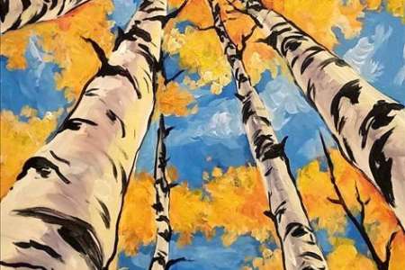 Aspens Reaching Toward Light