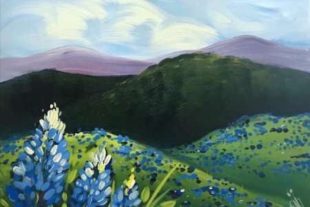 Field of Bluebonnets