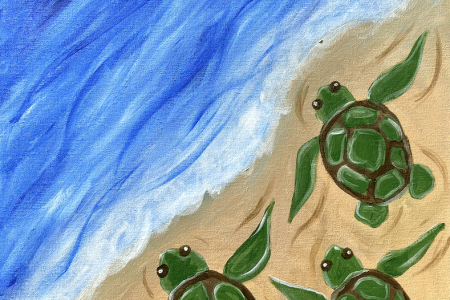 Cute Beach Baby Turtles