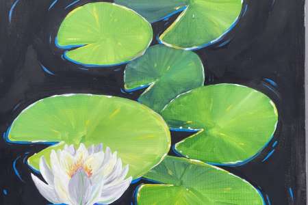 Stunning Water Lilies