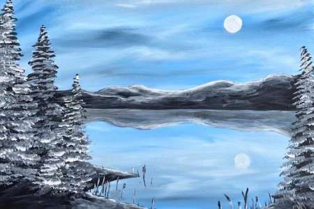 Snow-Dusted Forest