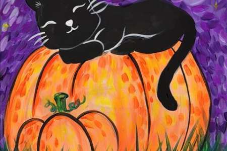 Black Cat for Halloween