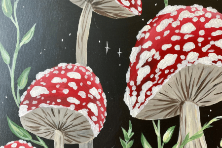 Cottage Core Mushroom Field Design