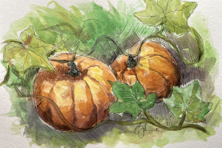 Plump Watercolor Pumpkins