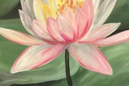 Lotus Bloom Serenity