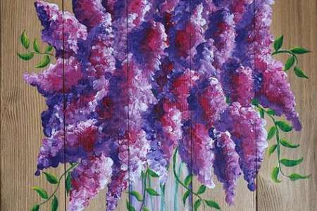 Lavender Blooms