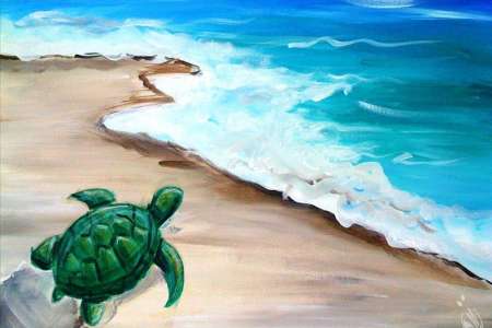 Turtley Awesome Ocean Adventure