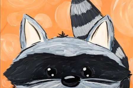 Adorable Raccoon