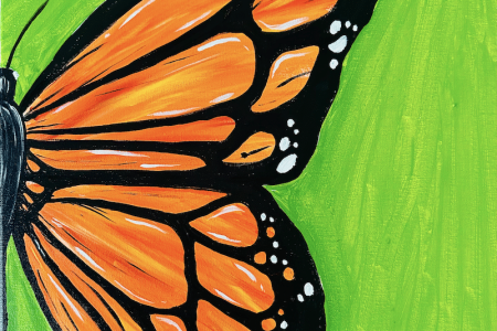 Beautiful Monarch Butterfly