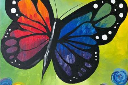 A Colorful Butterfly