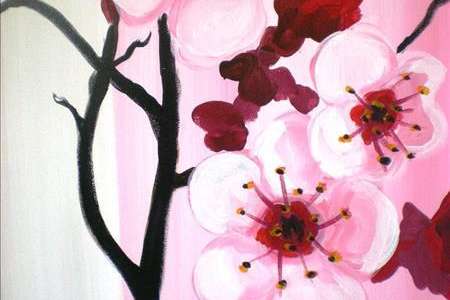 Pink Cherry Blossoms