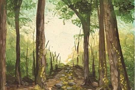 Mossy Forest Path