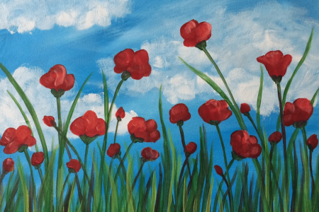 Field of Pretty Poppies
