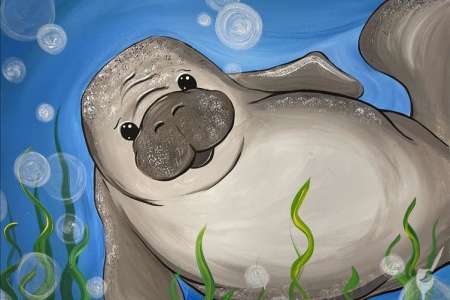Playful Manatee