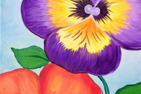 Vibrant Pansy Petals