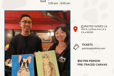 Fun Pet Portrait