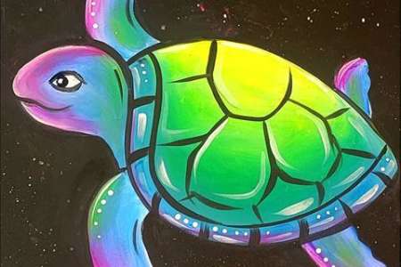 Colorful Cosmic Turtle