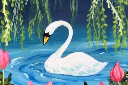A Swan Swim