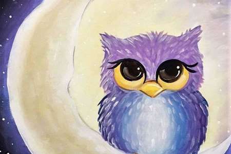 Nocturnal Owl