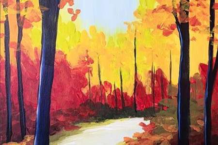 Walk Through the Fall Woods