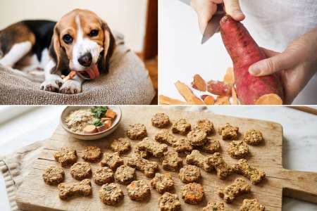 Thanksgiving Treats for Your Pup