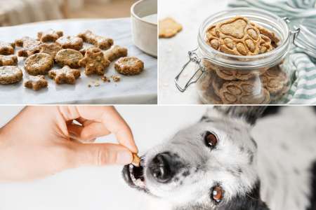 Treats for a Happy Pup