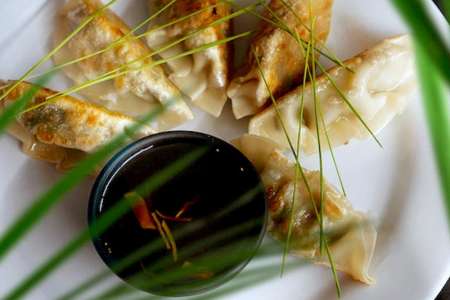 Trio of Asian Dumplings