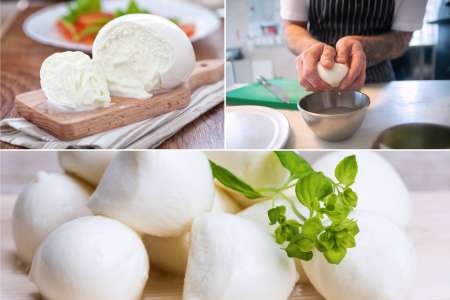 All About Tasty Mozzarella