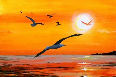 Gull-den Sunset