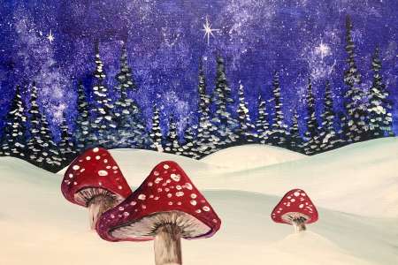 Amanita Nights