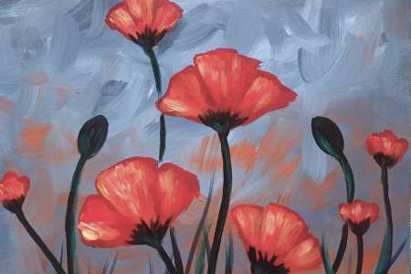 Poppy Dreams