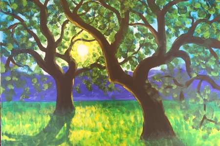 The Sacred Oaks