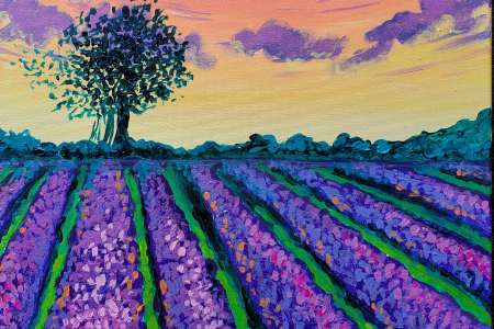 Lavender Field at Sunset