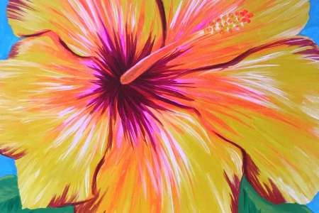 Paradise in Bloom