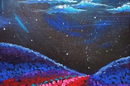 Moonlit Flower Field