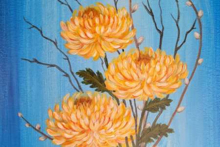 Blossoms of Chrysanthemum