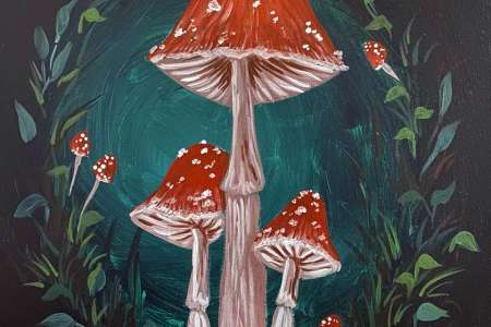 Mushroom Forest