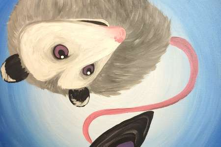 Magic is Opossum-able