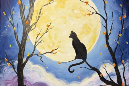 Moonlit Meow