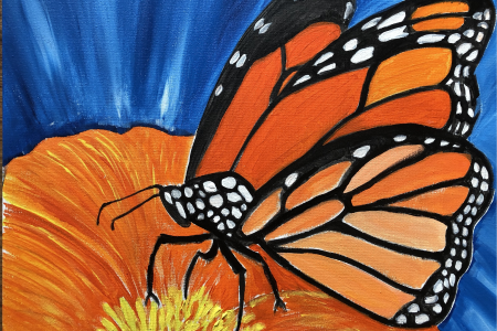 Orange Butterfly on Summer Flower
