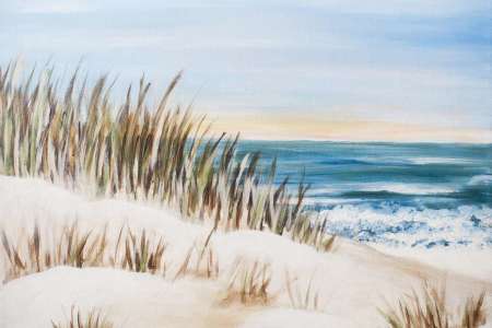 A Day At The Dunes - Chicago