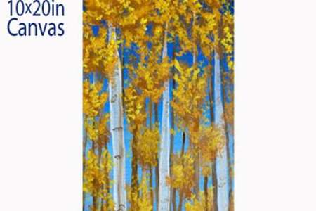 Impressive Towering Trees