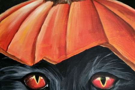 Pumpkin Hat Black Cat