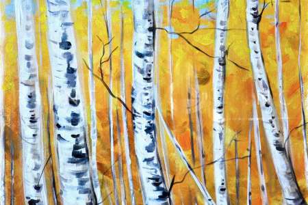 Towering Tree Trunks