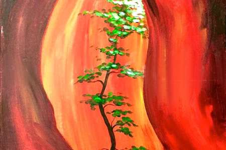 Sunlight in the Canyon