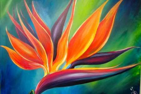 Brilliant Bird of Paradise