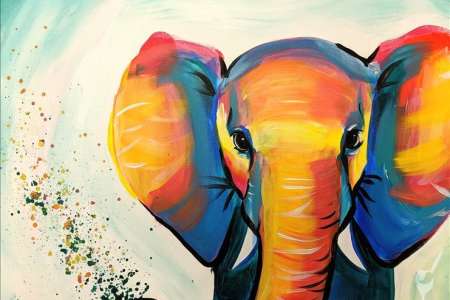 Elephant Fun and $3 Drinks