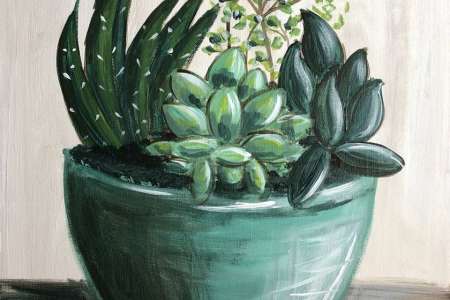 Sweet Succulents - Chicago